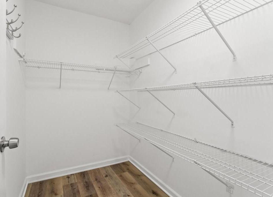 Photo #19