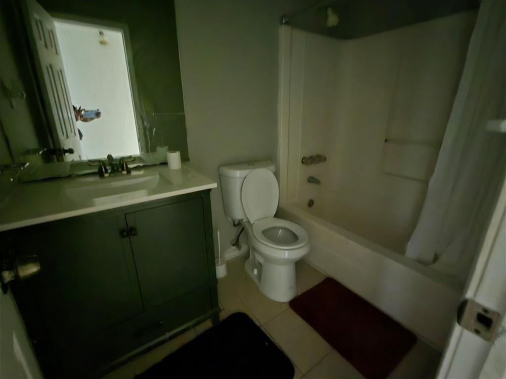 Photo #11