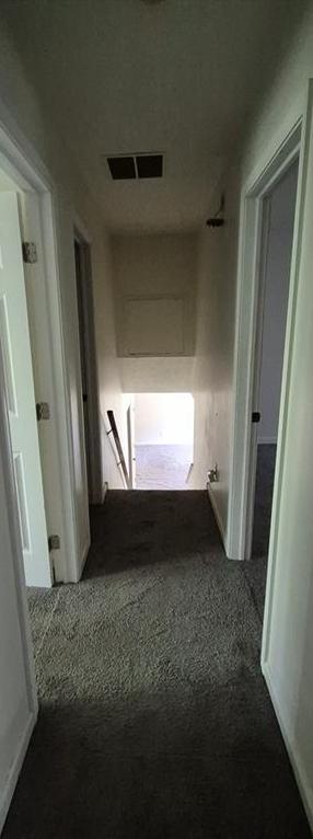Photo #10