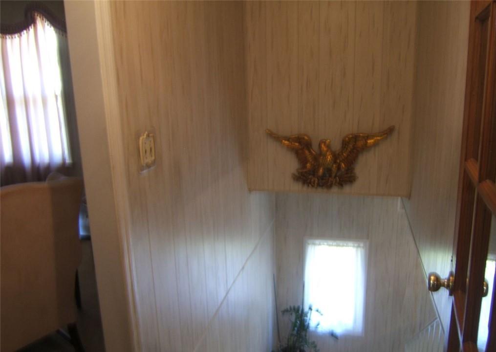 Photo #8