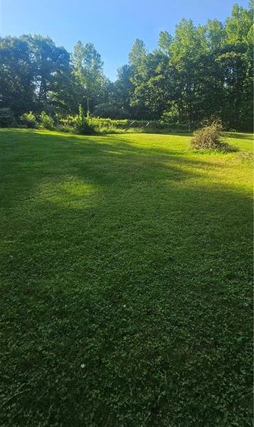 Photo #36