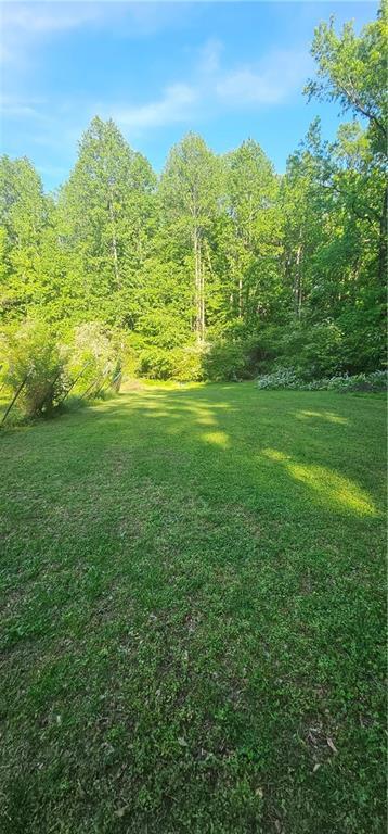 Photo #30