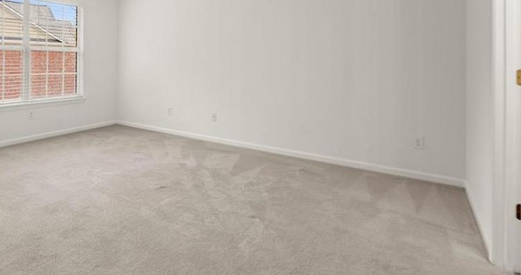 Photo #16