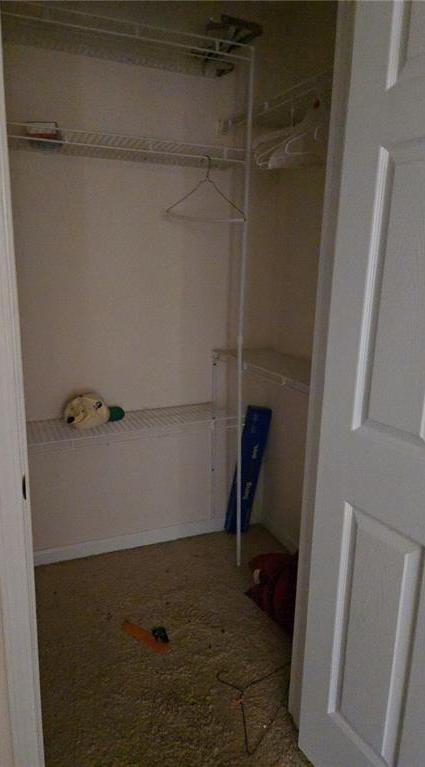 Photo #10