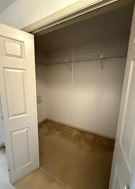 Photo #14