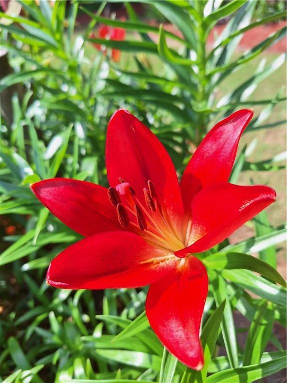 Photo #34