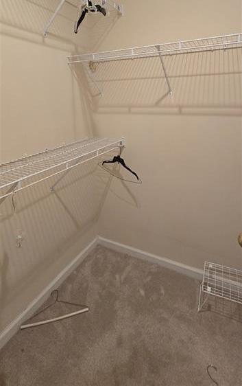 Photo #27