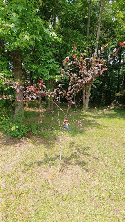 Photo #63