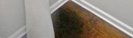 Photo #12