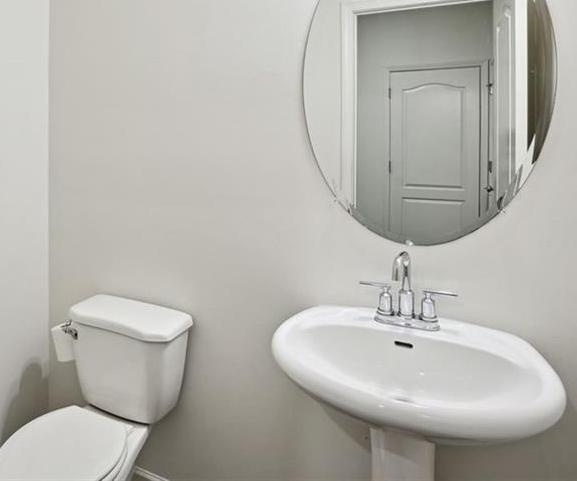 Photo #13