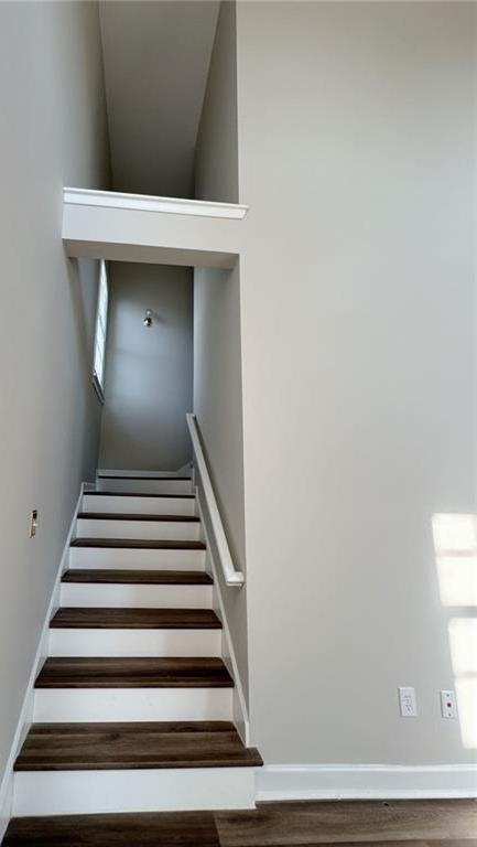 Photo #13