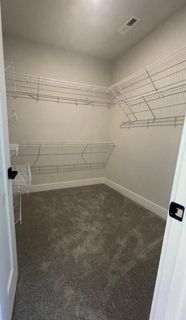 Photo #61