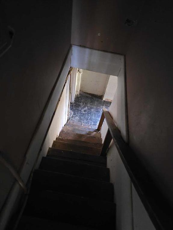 Photo #15