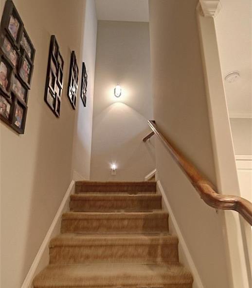 Photo #34