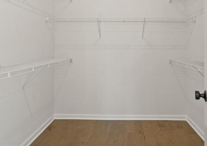 Photo #14