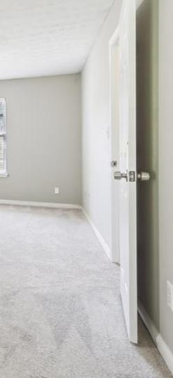 Photo #14