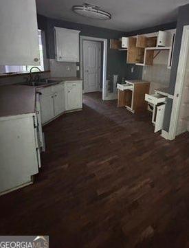 Photo #12