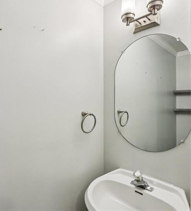 Photo #10