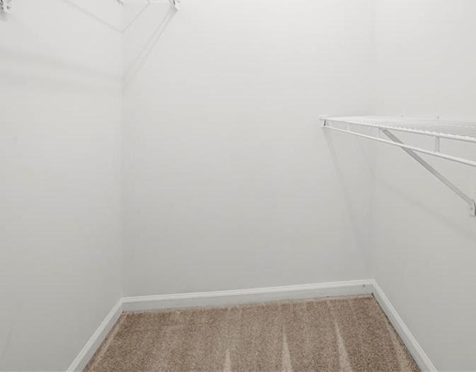 Photo #14