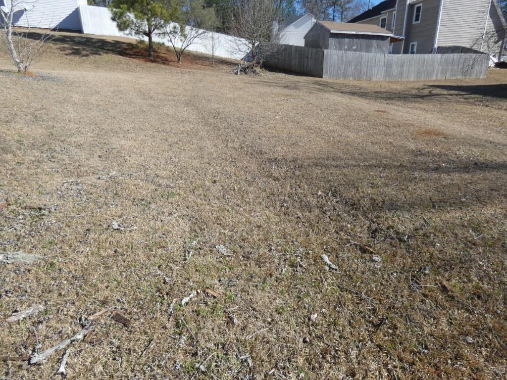 Photo #14