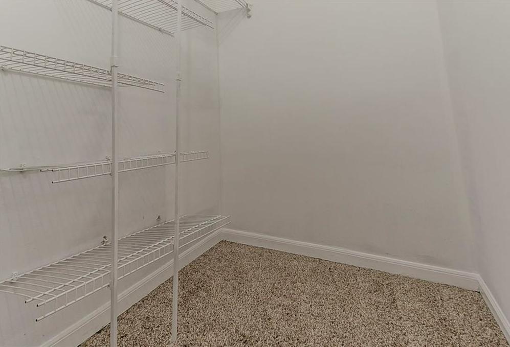 Photo #18