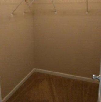 Photo #11