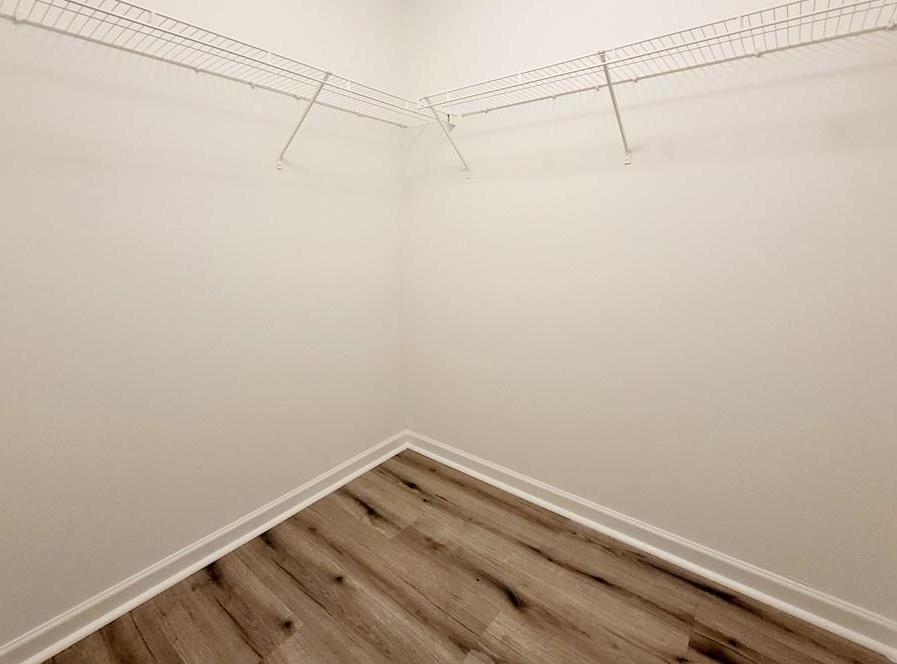 Photo #12