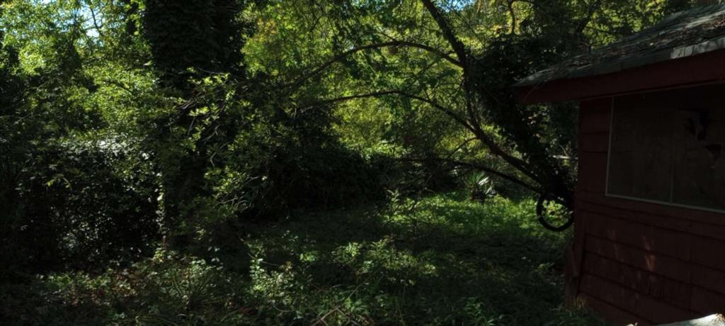 Photo #11