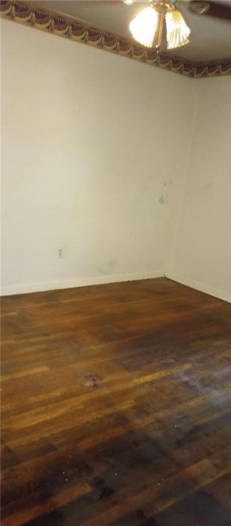 Photo #5