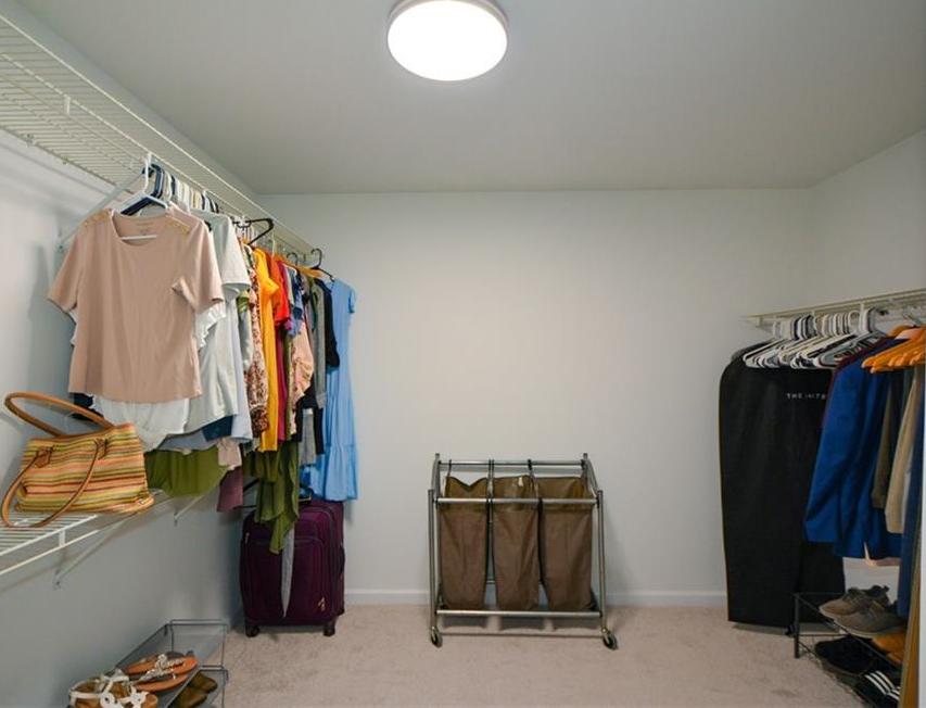 Photo #42