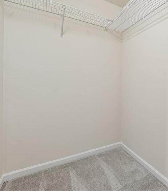 Photo #31