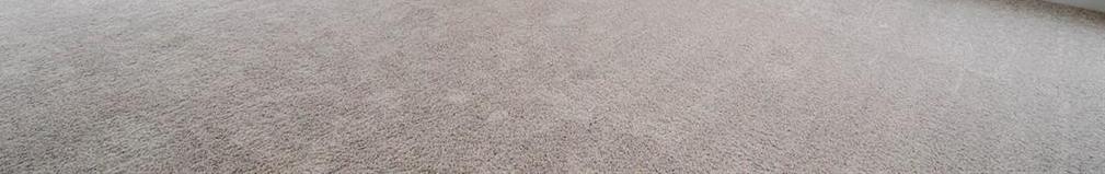 Photo #18