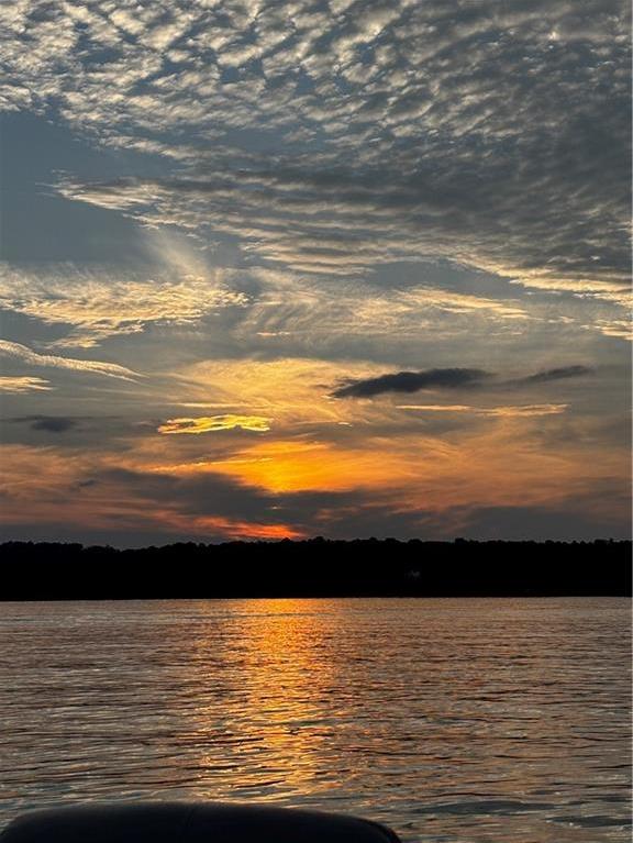 Photo #77
