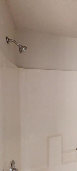 Photo #24