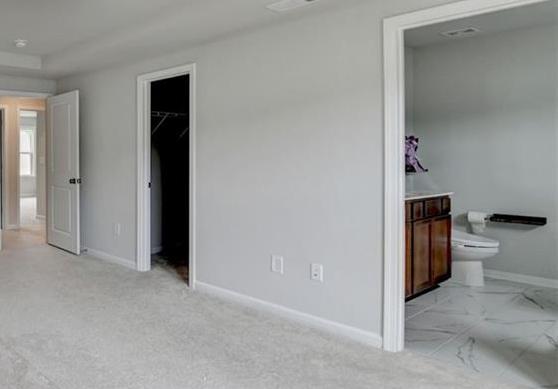 Photo #43