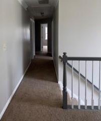 Photo #13