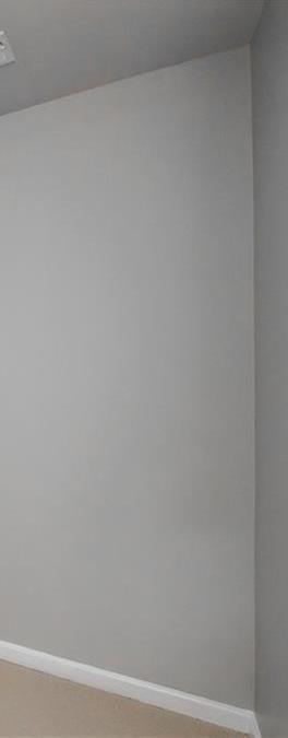 Photo #19