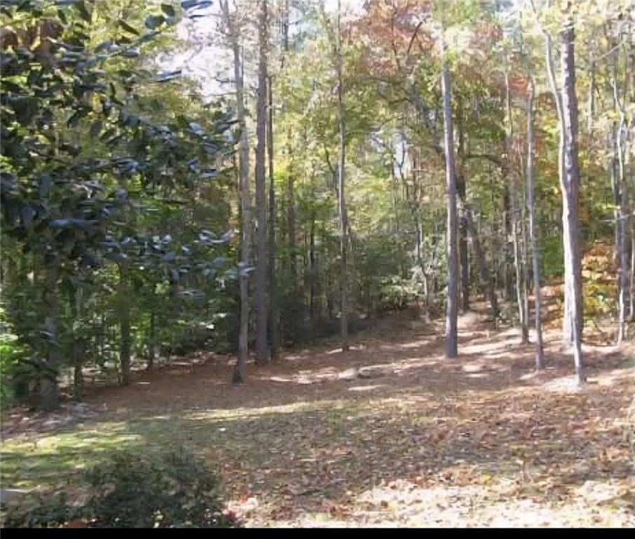 Photo #4