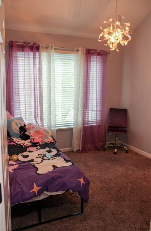 Photo #8