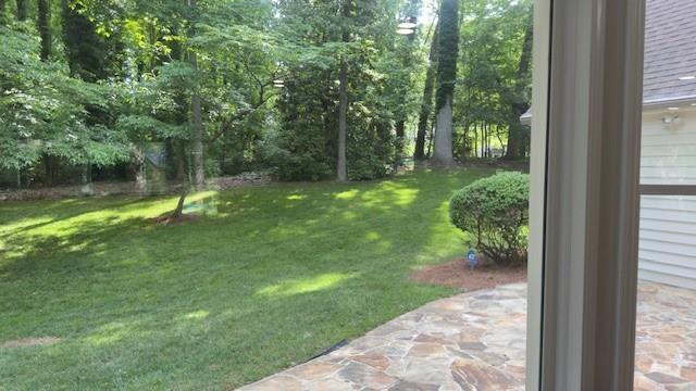 Photo #2
