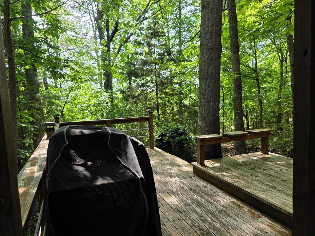Photo #47