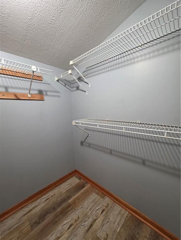 Photo #41