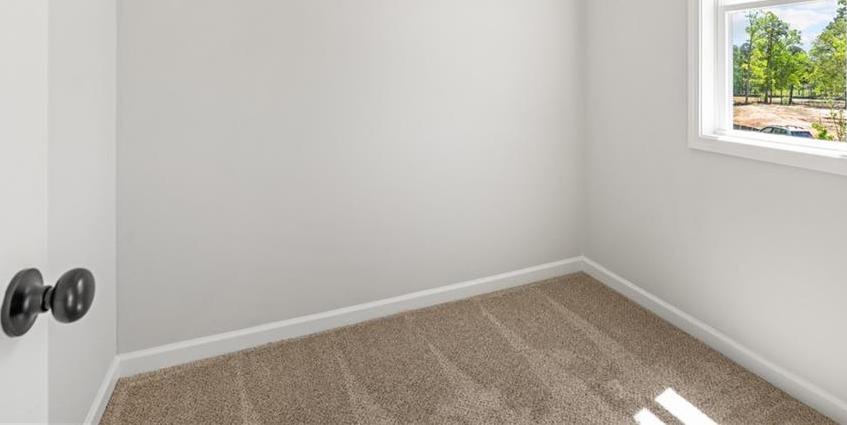 Photo #42
