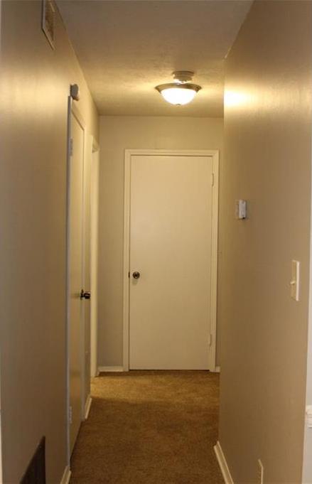 Photo #12
