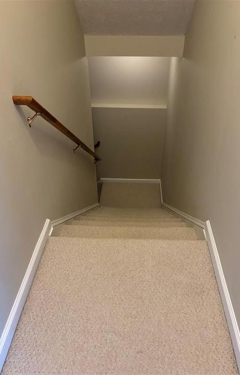 Photo #42