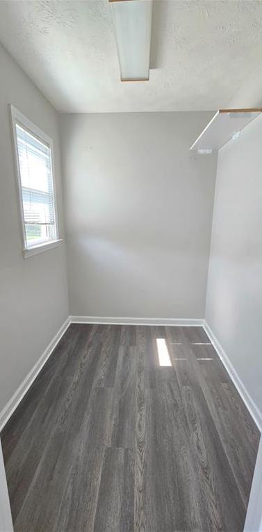 Photo #31