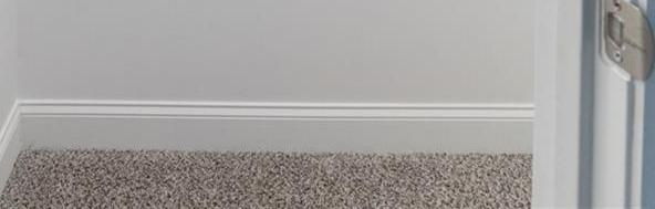 Photo #15