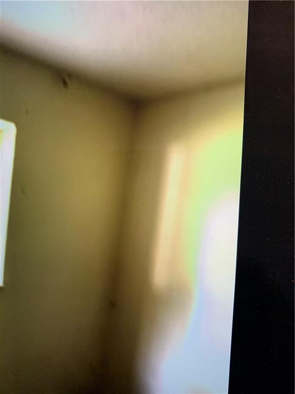 Photo #6