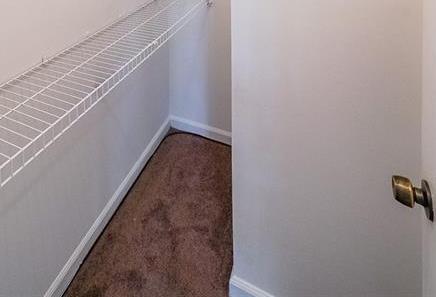 Photo #23