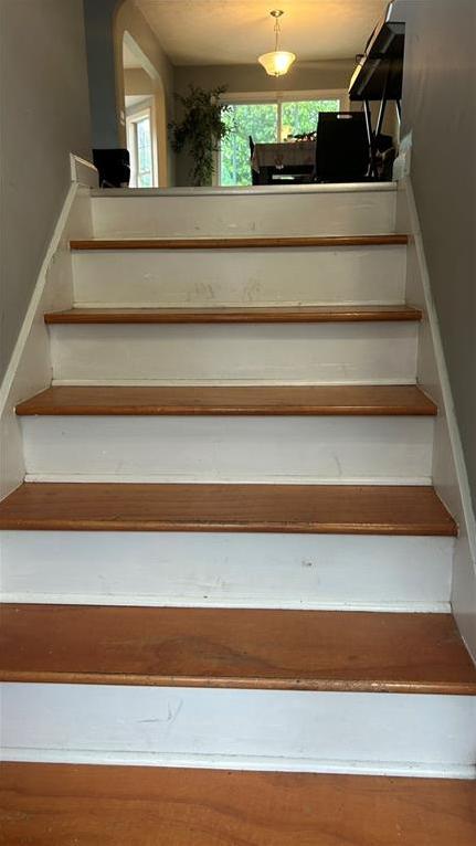 Photo #12